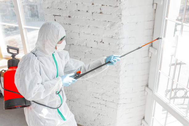 Biohazard Mold Removal in Millbrae, CA